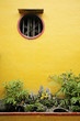 chinese temple garden detail in vietnam