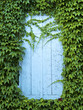 door framed by plants