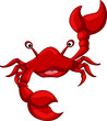 Funny crab cartoon