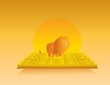 Lion in africa sunset background