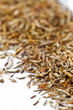 dried thyme leaves on white background making approach