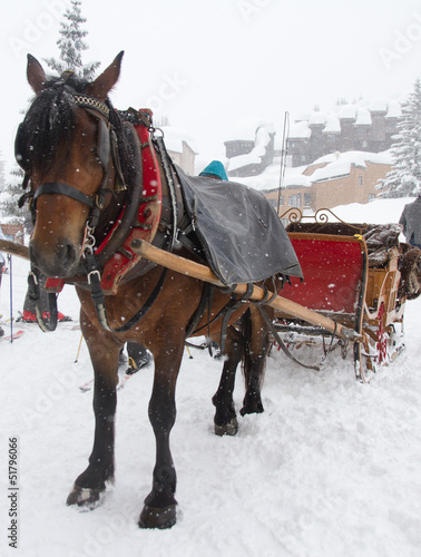 Photo: Winter transport Winter transport