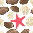 Seamless background with  shells starfish