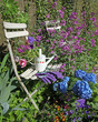 chaise de jardin en bois dans la végétation