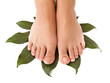 Photo: Beautiful Woman Legs In Spa Beautiful Woman Legs In Spa