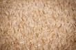 Photo: Close up of a wheat field Close up of a wheat field