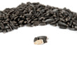 Sunflower seeds on a white background