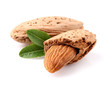 Almonds with leaf