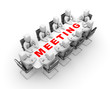 Meeting