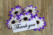 Thank you note and Senecio flowers on wooden background