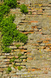 Foto: Wall Wall