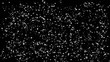 Snow flakes falling / black background