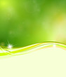 Green Banner