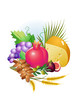 shavuot hebrew holiday set of food, grapes, cheese