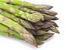 bunch of fresh asparagus 