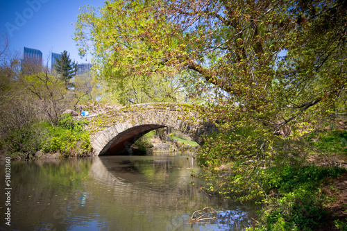 Photo: Stone Gapstow Bridge in Central Park New York City Stone Gapstow Bridge in Central Park New York City