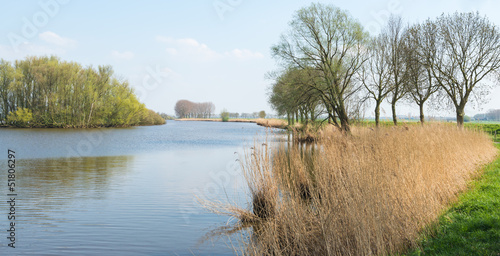 Photo: Idyllic Dutch landscape in springtime Idyllic Dutch landscape in springtime