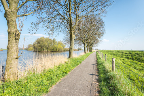 Photo: Bike path beside a small natural pond in springtime Bike path beside a small natural pond in springtime