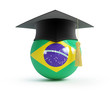 School of Brazilian football on a white background