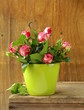 Photo: flowers roses in a vase on wooden background flowers roses in a vase on wooden background