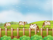 A farm with cows