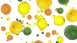 Citrus Fruits falling down (ends on blue)