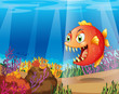 A piranha in the sea with corals
