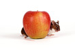 Foto: Zwei Mäuse und ein Apfel Zwei Mäuse und ein Apfel
