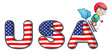 A boy skiing with the USA symbol