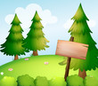 A blank wooden sign board in the forest