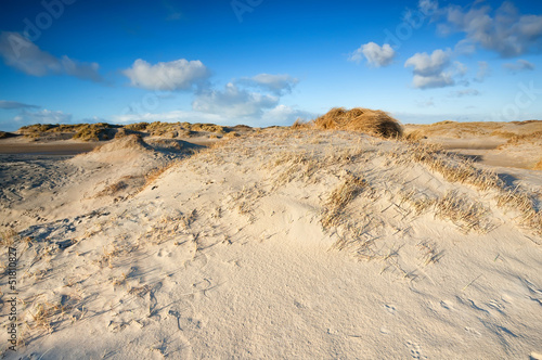 Photo: sand dunes by beach at North sea sand dunes by beach at North sea