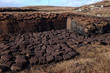 Cut peat fuel.