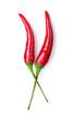 Hot chilli peppers, isolated