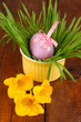 Easter eggs in bowl with grass on wooden table close up