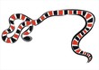 serpiente coral