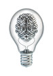 Lightbulb brain