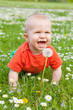 baby auf der wiese
