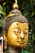 Foto: buddha statue in thailand buddha statue in thailand