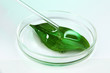 Chemical research in Petri dish on light green background