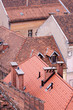 Roofs