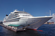 Cruise Ship on berth