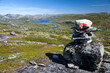 Hardangervidda Norway