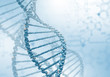DNA Strand