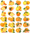Foto: Orange fruit Orange fruit