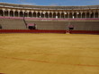 Sévilla, El Arenal
