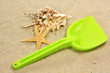 coquillages et sable