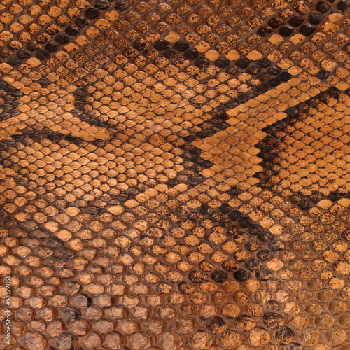 Photo: Peau de serpent vintage Peau de serpent vintage