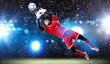 Goalkeeper catches the ball