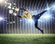 Goalkeeper catches the ball