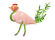 Foto: Arcimboldo-chicken Arcimboldo-chicken